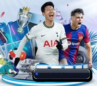 五大服务分区,信息按项目分类